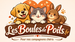 Les Boules De Poils